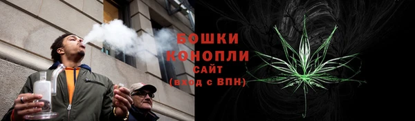 молекула духа Волосово