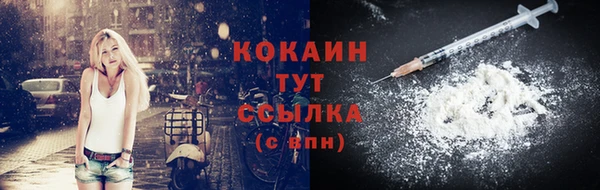 шишки Волоколамск